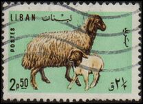 [Domestic Animals, type MK]