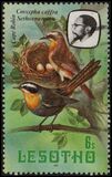 [Birds, Вид LA]