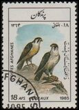 [Fauna - Birds, タイプ ADD]