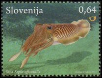 [Marine Life, type AFH]