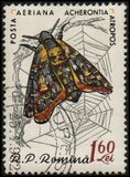 [Butterflies & Moths, type BTK]