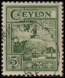 [Local Motifs, type CE]