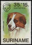 [Child Welfare - Pet Dogs, Tipi AHG]