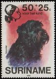[Child Welfare - Pet Dogs, Tipi AHH]