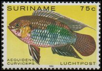 [Airmail - Tropical Fish, type ANT]