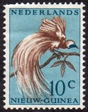 [Bird of Paradise, typ F]