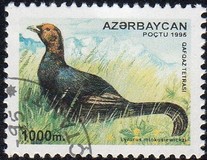 [Flora and Fauna, tegund HA]