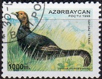 [Flora and Fauna, tegund HA]