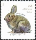 [Brush Rabbit, type ILA]