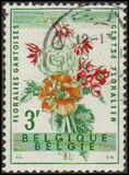 [Gent Flower Festival, type XS]