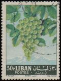 [Fruits, type JG2]