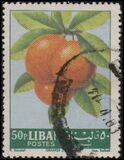 [Fruits, type JH]