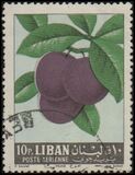 [Airmail - Fruits, 類型 JK]