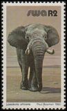 [Wild Mammals, type HY]
