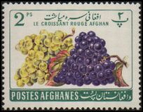 [Fruits - Afghan Red Crescent Society, type HV]