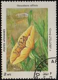 [Flora - International Stamp Exhibition ARGENTINA '85 - Buenos Aires, Argentina, type ABZ]