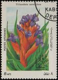 [Flora - International Stamp Exhibition ARGENTINA '85 - Buenos Aires, Argentina, type ACB]