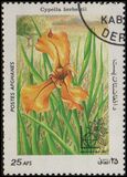 [Flora - International Stamp Exhibition ARGENTINA '85 - Buenos Aires, Argentina, ประเภท ACE]