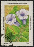 [Flora - International Stamp Exhibition ARGENTINA '85 - Buenos Aires, Argentina, ประเภท ACF]