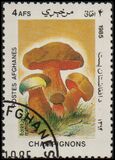 [Flora - Mushrooms, ประเภท ABS]