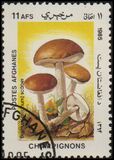 [Flora - Mushrooms, ประเภท ABU]