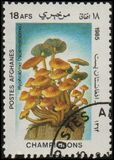 [Flora - Mushrooms, ประเภท ABW]