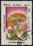 [Flora - Mushrooms, ประเภท ABX]
