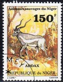 [Wild Animals, 類型 YY]