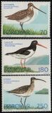 [Bird Life, tip Q]