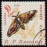 [Butterflies & Moths, type BTG]