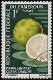 [Fruits, Вид HA]