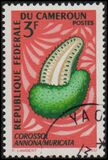 [Fruits, Вид HC]