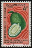 [Fruits, Вид HD]