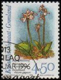 [Arctic Orchids, Tipi HF]