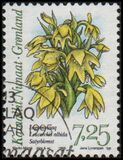 [Arctic Orchids, Tipi HG]
