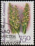 [Arctic Orchids, Tipi HH]