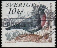 [Doves and Pigeons, type BTI]