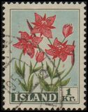 [Flowers, type EK]