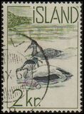 [Atlantic Salmon & Common Eider, type EU1]