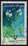 [Protected Plants, type ASQ]