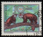 [Treatened Animals, tegund CCX]