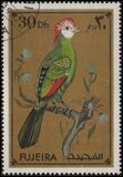 [Birds, Scrivi ADM]