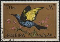 [Birds, Scrivi ADN]
