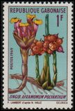 [Flowers, タイプ HE]
