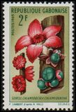 [Flowers, タイプ HF]