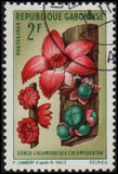 [Flowers, タイプ HF]