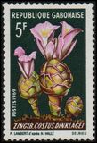 [Flowers, タイプ HG]