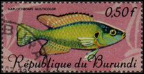 [Fish, type IX]