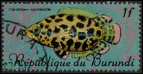 [Fish, type IY]