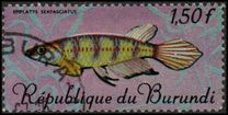 [Fish, type IZ]